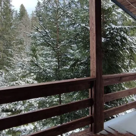пташка Holiday home Krivopol'ye
