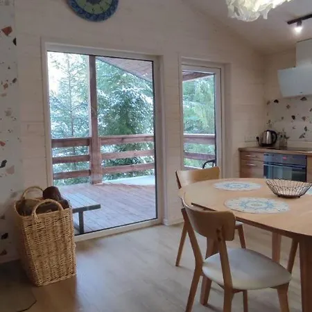 Holiday home пташка