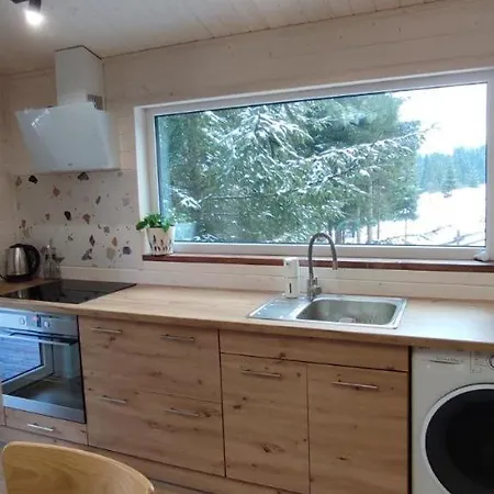 Holiday home пташка